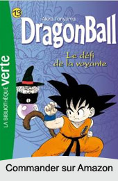 Dragon Ball manga volume 13