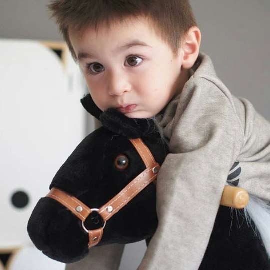 Cheval à roulettes ponycycle câlin bébé 
