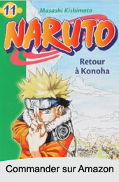 Naruto roman  volume 11
